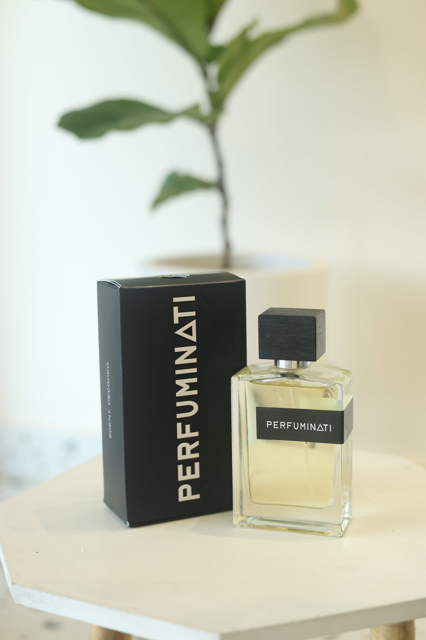 Cedar Opus - Inspired by Gucci Guilty by Gucci